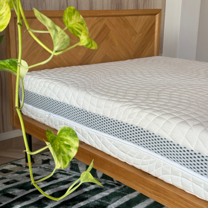 エルゴディスク|人間工学設計×高反発サポートの上質マットレス(ソフトタイプ)